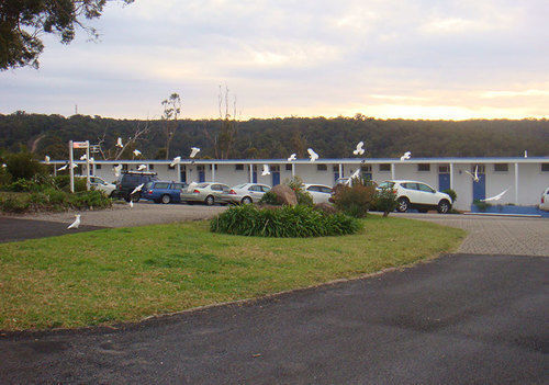 Kingfisher Motel (Adults Only) Merimbula Zewnętrze zdjęcie